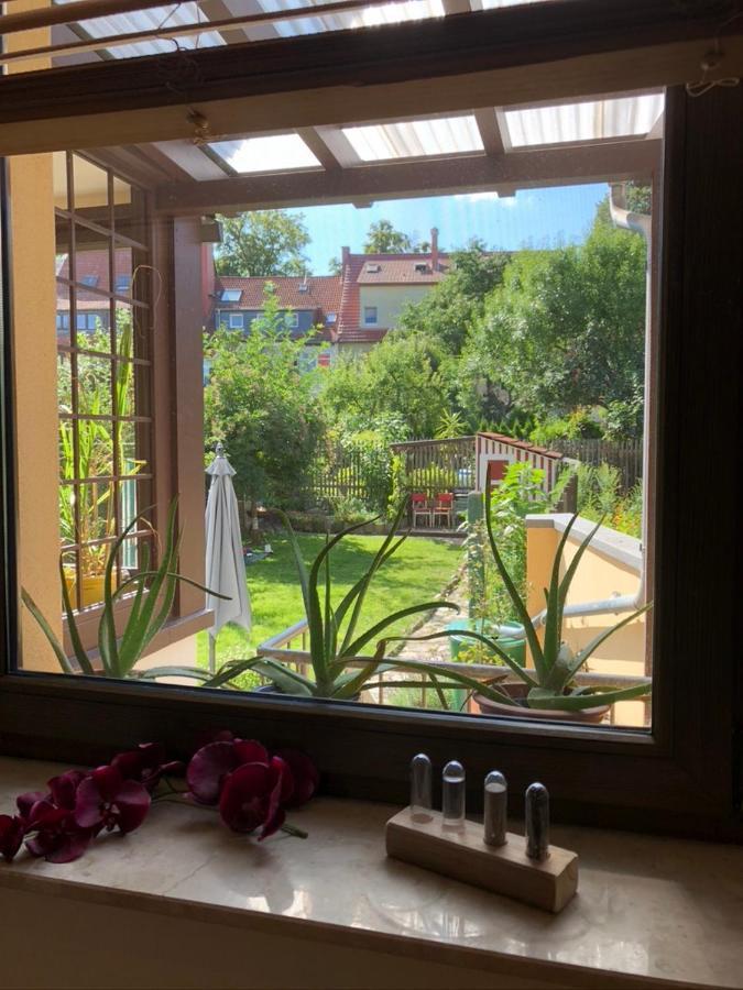 Ferienwohnung An Der Gruenen Clara Erfurt Esterno foto
