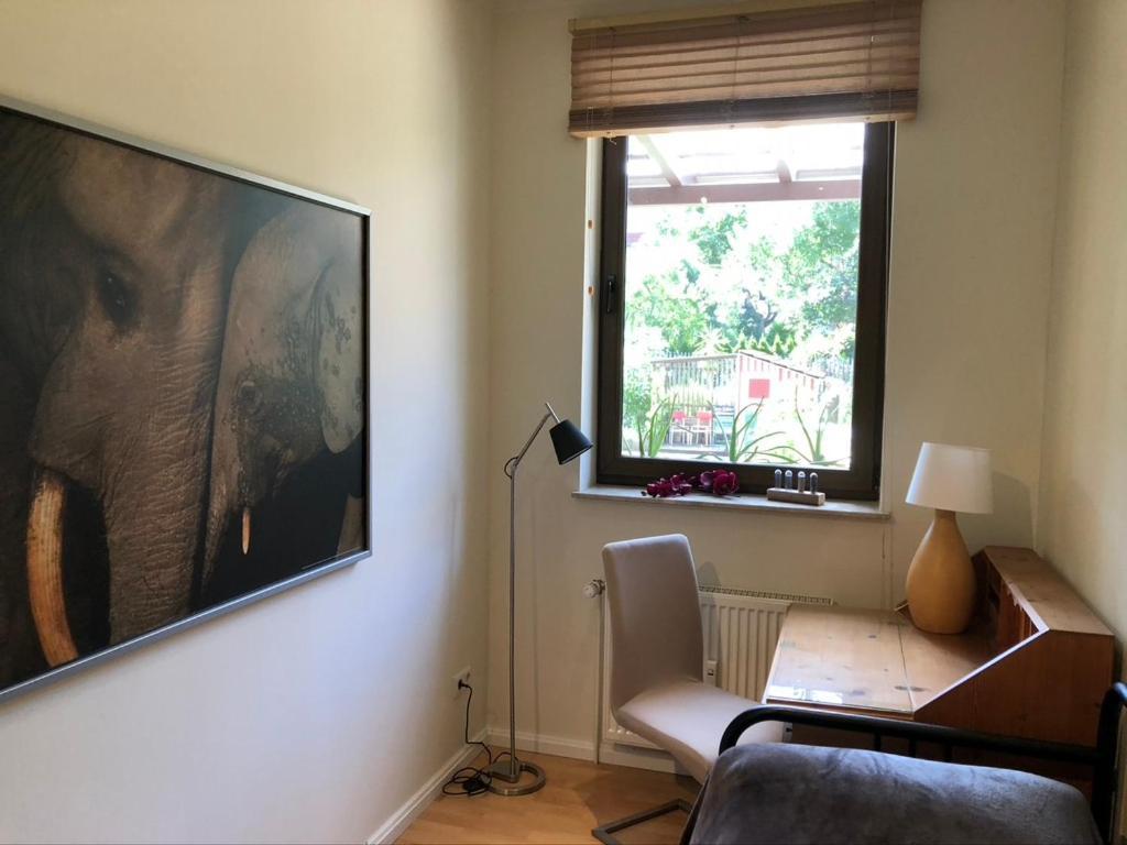 Ferienwohnung An Der Gruenen Clara Erfurt Esterno foto